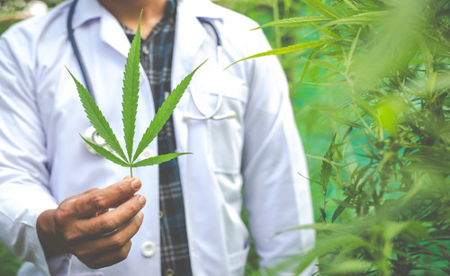 Marijuana Addiction Treatment